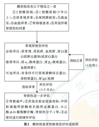 最新《糖尿病腎臟病早期預(yù)測(cè)與診斷專家共識(shí)》發(fā)布