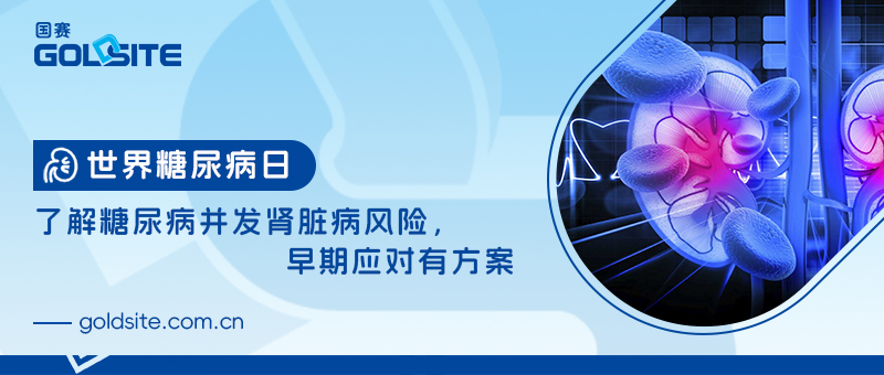 世界糖尿病日：了解糖尿病并發(fā)腎臟病風(fēng)險(xiǎn)，早期應(yīng)對(duì)有方案